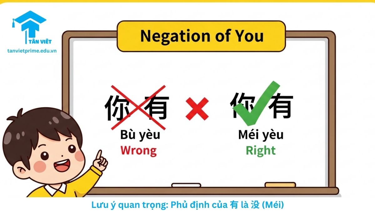 Hình ảnh minh họa quy tắc phủ định của chữ You, mô tả dấu gạch chéo vào chữ Bu You và dấu tích xanh vào Mei You để cảnh báo lỗi sai ngữ pháp phổ biến.